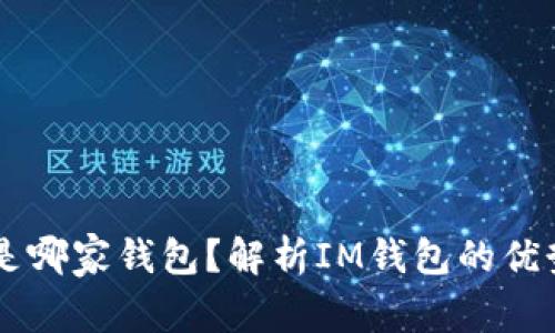 IM钱包是哪家钱包？解析IM钱包的优势和劣势