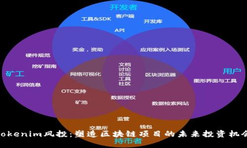 Tokenim风投：塑造区块链项目的未来投资机会