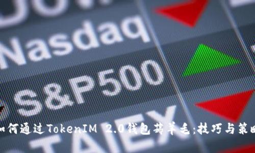 如何通过TokenIM 2.0钱包薅羊毛：技巧与策略