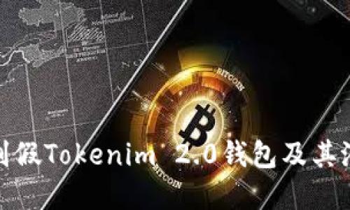 如何识别假Tokenim 2.0钱包及其潜在风险