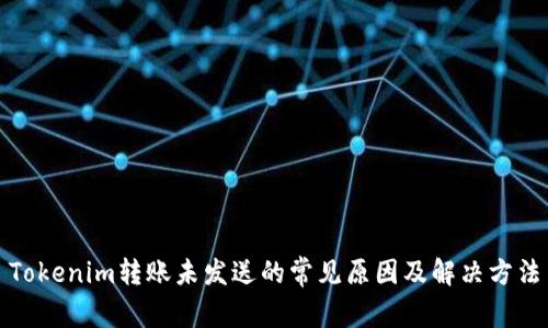 Tokenim转账未发送的常见原因及解决方法