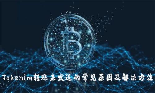 Tokenim转账未发送的常见原因及解决方法