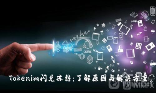 Tokenim闪兑冻结：了解原因与解决方案