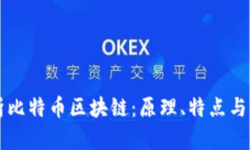 全面解析比特币区块链：原理、特点与未来展望