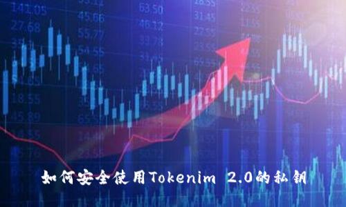 如何安全使用Tokenim 2.0的私钥