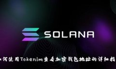 如何使用Tokenim查看加密钱