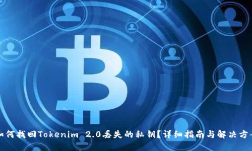 如何找回Tokenim 2.0丢失的私钥？详细指南与解决方案