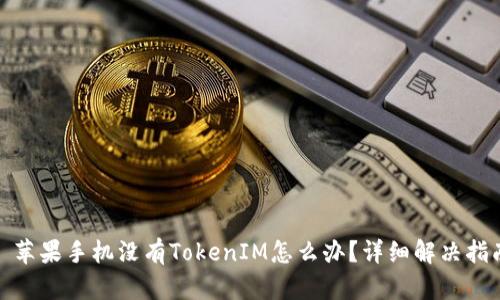 : 苹果手机没有TokenIM怎么办？详细解决指南