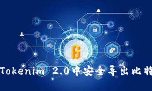 如何在Tokenim 2.0中安全导出比特币私钥