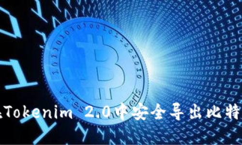 如何在Tokenim 2.0中安全导出比特币私钥