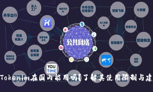 : Tokenim在国内能用吗？了解其使用限制与建议