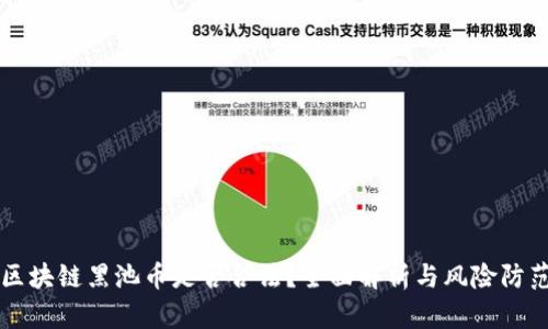 区块链黑池币是否合法？全面解析与风险防范