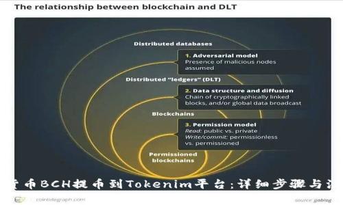 如何将货币BCH提币到Tokenim平台：详细步骤与注意事项