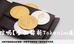 Tokenim能追踪吗？全面解析Tokenim追踪机制与应用