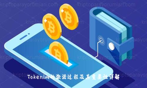 Tokenim的激活过程及其重要性详解