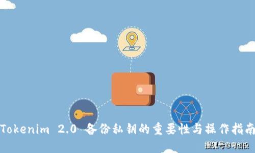 Tokenim 2.0 备份私钥的重要性与操作指南