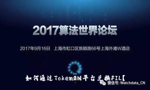 如何通过TokenIM平台兑换FIL？