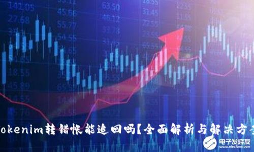 Tokenim转错帐能追回吗？全面解析与解决方案