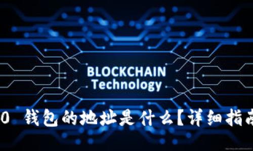 且的:
TokenIM 2.0 钱包的地址是什么？详细指南与常见问题