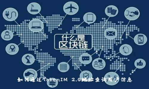 如何通过TokenIM 2.0地址查询用户信息