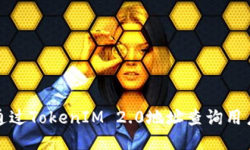 如何通过TokenIM 2.0地址查询用户信息