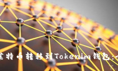 如何将莱特币转移到Tokenim钱包：全面指南