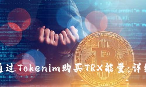 如何通过Tokenim购买TRX能量：详细指南