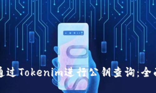 如何通过Tokenim进行公钥查询：全面指南