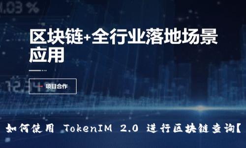 如何使用 TokenIM 2.0 进行区块链查询？