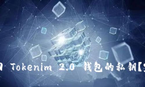 如何找回 Tokenim 2.0 钱包的私钥？完整指南