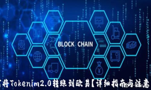 
如何将Tokenim2.0转账到欧易？详细指南与注意事项