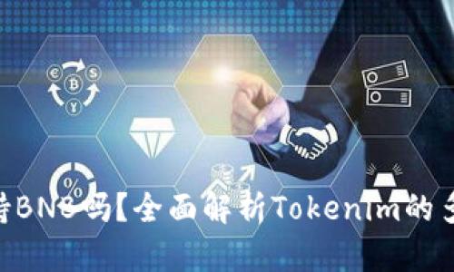 Tokenim支持BNB吗？全面解析Tokenim的多币种兼容性