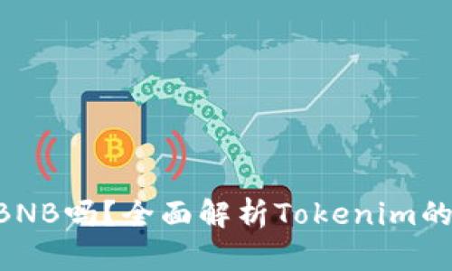 Tokenim支持BNB吗？全面解析Tokenim的多币种兼容性