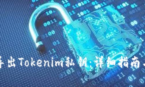 如何安全导出Tokenim私钥：详细指南与注意事项