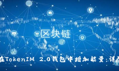 如何在TokenIM 2.0钱包中增加能量：详尽指南