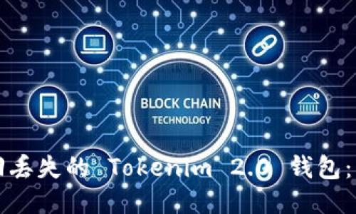 如何找回丢失的 Tokenim 2.0 钱包：详细指南