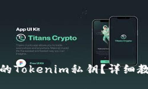 如何找回丢失的Tokenim私钥？详细教程与应对策略