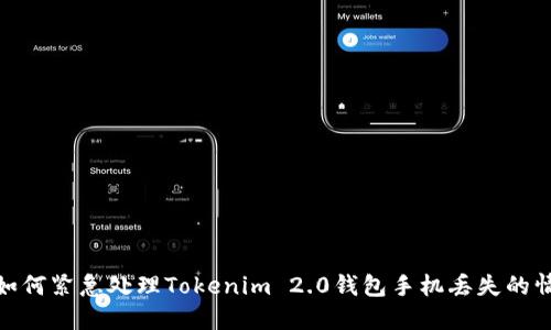 : 如何紧急处理Tokenim 2.0钱包手机丢失的情况