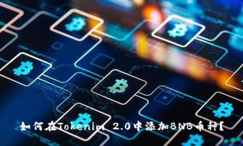 如何在Tokenim 2.0中添加BNB币种？