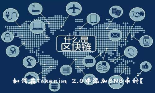 如何在Tokenim 2.0中添加BNB币种？