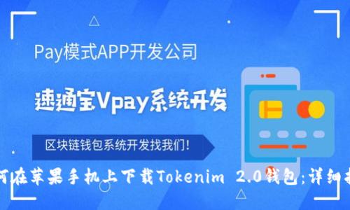 如何在苹果手机上下载Tokenim 2.0钱包：详细指南