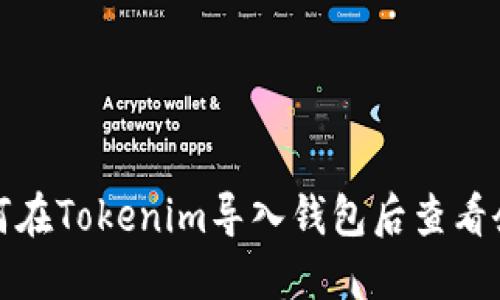 如何在Tokenim导入钱包后查看余额