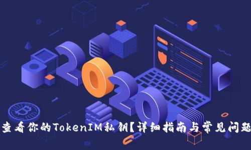 如何查看你的TokenIM私钥？详细指南与常见问题解答