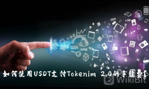 如何使用USDT支付Tokenim 2.0的手续费？