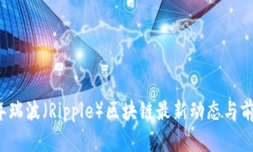 2023年瑞波（Ripple）区块链最新动态与前景分析