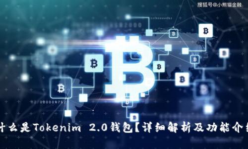 什么是Tokenim 2.0钱包？详细解析及功能介绍