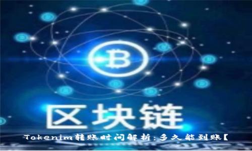 Tokenim转账时间解析：多久能到账？