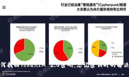 : 如何找回TokenIM 2.0密码：忘记密钥时的解决方案