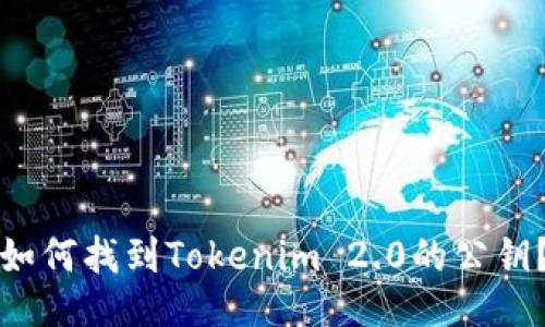 如何找到Tokenim 2.0的公钥？