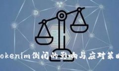 Tokenim倒闭的影响与应对策